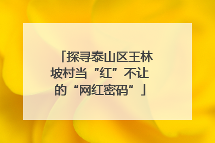 探寻泰山区王林坡村当“红”不让的“网红密码”