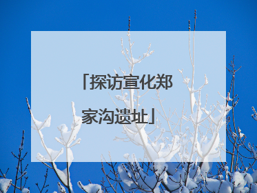 探访宣化郑家沟遗址