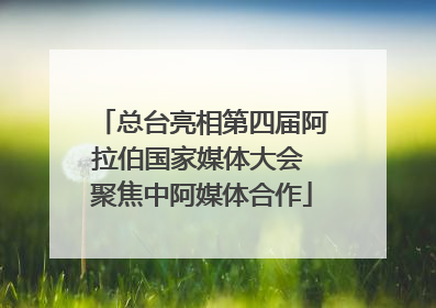 总台亮相第四届阿拉伯国家媒体大会 聚焦中阿媒体合作