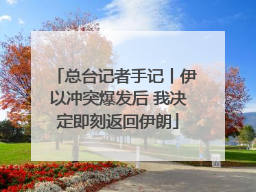 总台记者手记丨伊以冲突爆发后 我决定即刻返回伊朗