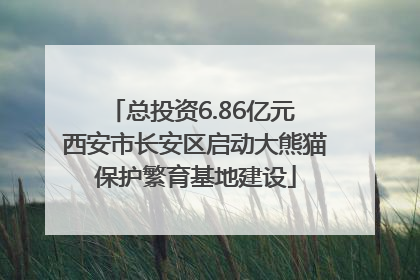 总投资6.86亿元 西安市长安区启动大熊猫保护繁育基地建设