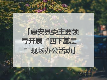 惠安县委主要领导开展“四下基层”现场办公活动