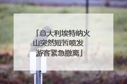 意大利埃特纳火山突然短暂喷发 游客紧急撤离