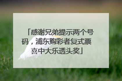 感谢兄弟提示两个号码，浦东购彩者复式票喜中大乐透头奖