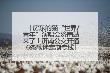 房东的猫“世界/青年”演唱会济南站来了！济南公交开通6条歌迷定制专线