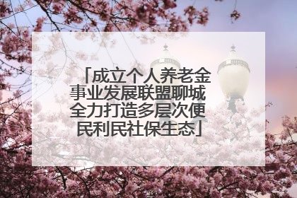 成立个人养老金事业发展联盟聊城全力打造多层次便民利民社保生态