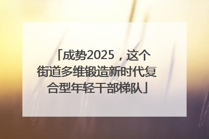 成势2025，这个街道多维锻造新时代复合型年轻干部梯队