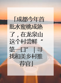 成都今年首批水蜜桃成熟了，在龙泉山这个村尝鲜“第一口”｜寻找和美乡村推荐官