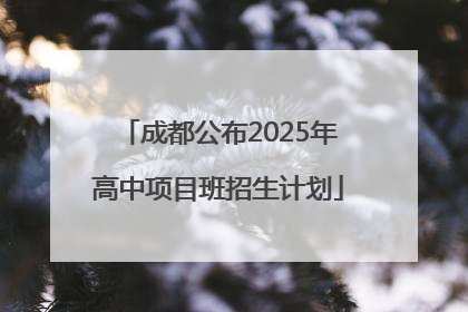 成都公布2025年高中项目班招生计划