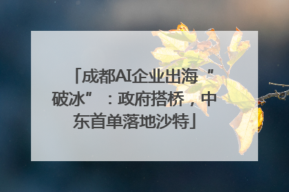 成都AI企业出海“破冰”：政府搭桥，中东首单落地沙特