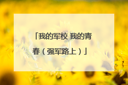 我的军校 我的青春（强军路上）