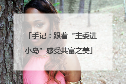手记：跟着“主委进小岛”感受共富之美