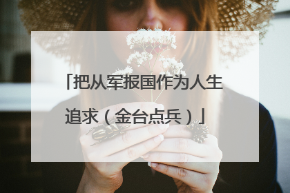 把从军报国作为人生追求（金台点兵）