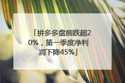 拼多多盘前跌超20%，第一季度净利润下降45%