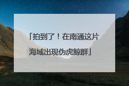 拍到了！在南通这片海域出现伪虎鲸群