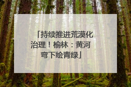 持续推进荒漠化治理！榆林：黄河弯下绘青绿