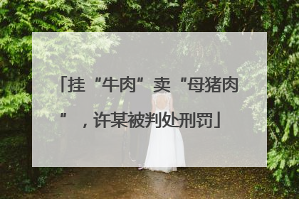 挂“牛肉”卖“母猪肉”，许某被判处刑罚