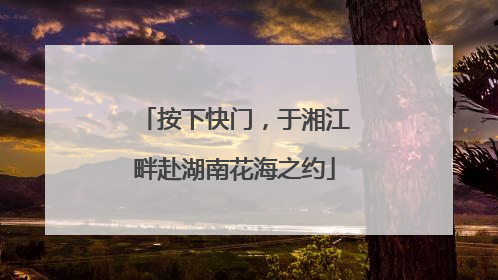 按下快门，于湘江畔赴湖南花海之约