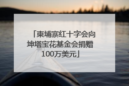 柬埔寨红十字会向坤塔宝花基金会捐赠100万美元