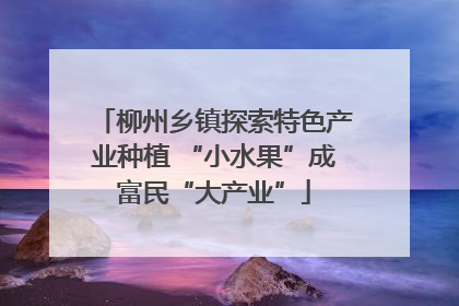 柳州乡镇探索特色产业种植 “小水果”成富民“大产业”