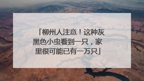 柳州人注意！这种灰黑色小虫看到一只，家里很可能已有一万只