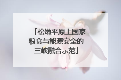 松嫩平原上国家粮食与能源安全的三峡融合示范