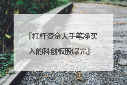 杠杆资金大手笔净买入的科创板股曝光