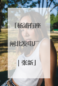 杨浦有座闸北发电厂｜张新