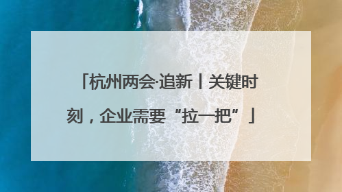 杭州两会·追新丨关键时刻，企业需要“拉一把”