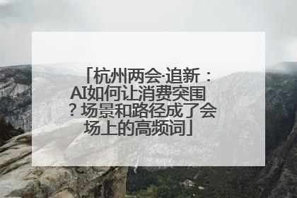 杭州两会·追新：AI如何让消费突围？场景和路径成了会场上的高频词
