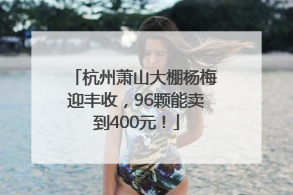 杭州萧山大棚杨梅迎丰收，96颗能卖到400元！