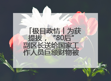 极目政情丨为获提拔，“80后”副区长送给国家工作人员巨额财物被“双开”