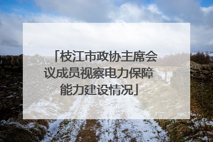 枝江市政协主席会议成员视察电力保障能力建设情况