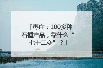 枣庄：100多种石榴产品，靠什么“七十二变”？