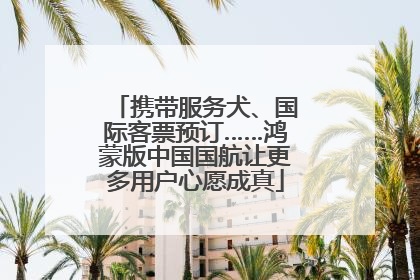 携带服务犬、国际客票预订……鸿蒙版中国国航让更多用户心愿成真