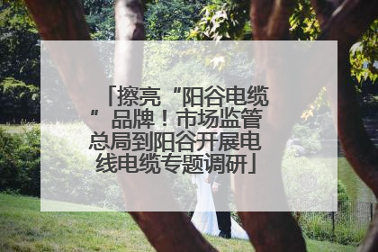 擦亮“阳谷电缆”品牌！市场监管总局到阳谷开展电线电缆专题调研