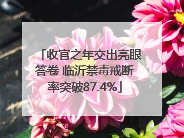 收官之年交出亮眼答卷 临沂禁毒戒断率突破87.4%