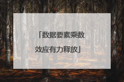 数据要素乘数效应有力释放