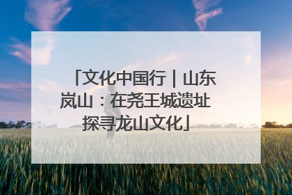 文化中国行｜山东岚山：在尧王城遗址探寻龙山文化
