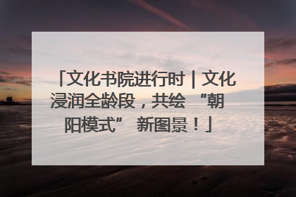 文化书院进行时｜文化浸润全龄段，共绘 “朝阳模式” 新图景！