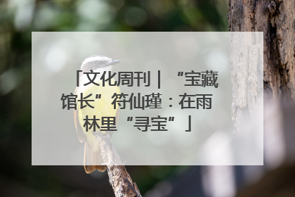 文化周刊｜“宝藏馆长”符仙瑾：在雨林里“寻宝”