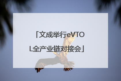 文成举行eVTOL全产业链对接会