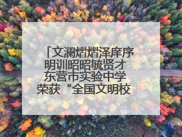 文澜熠熠泽庠序 明训昭昭毓贤才 东营市实验中学荣获“全国文明校园”称号