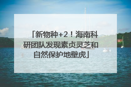新物种+2！海南科研团队发现素贞灵芝和自然保护地壁虎