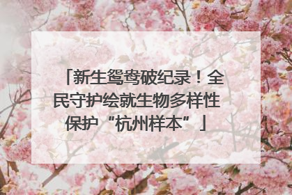 新生鸳鸯破纪录！全民守护绘就生物多样性保护“杭州样本”