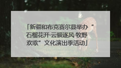 新疆和布克赛尔县举办“石榴花开·云骥逐风·牧野欢歌”文化演出季活动