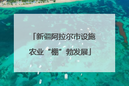 新疆阿拉尔市设施农业“棚”勃发展
