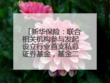 新华保险：联合相关机构参与发起设立行业首支私募证券基金，基金二期200亿元已募集完毕