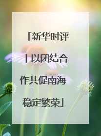 新华时评丨以团结合作共促南海稳定繁荣
