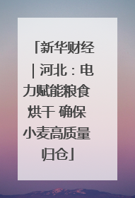 新华财经｜河北：电力赋能粮食烘干 确保小麦高质量归仓